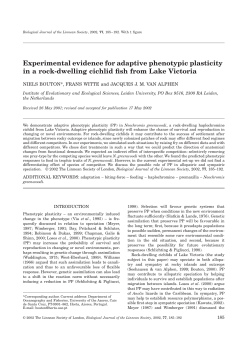 Experimental evidence for adaptive phenotypic plasticity in a rock