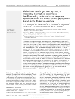 Deferrisoma camini gen. nov., sp. nov., a moderately thermophilic
