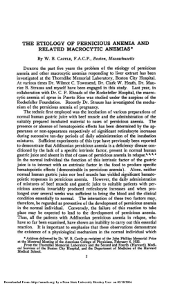 the etiology of pernicious anemia and related