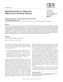 Rapid Assimilation of External Objects Into the Body Schema