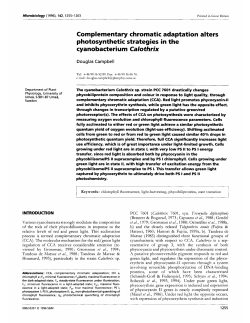 Complementary chromatic adaptation alters photosynthetic