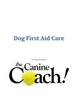 Dog First Aid Care - Save-a