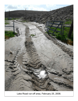 Lake Road run-off area, February 25, 2008.