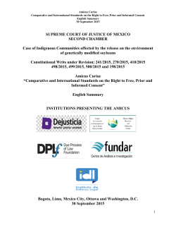 Summary of the Amicus - Human Rights Research and Education