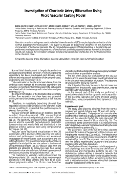 Investigation of Chorionic Artery Bifurcation Using Micro Vascular