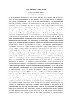 Galaxy of granules - a hidden universe