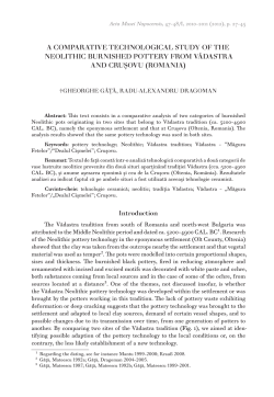 A comparative technological study of the neolithic