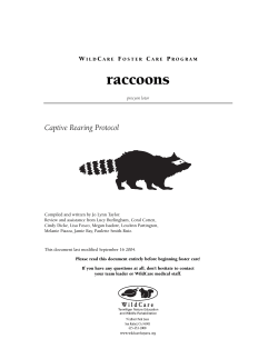 Raccoon manual.qxd