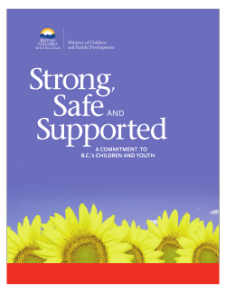 Strong Safe and Supported : A Commitment to