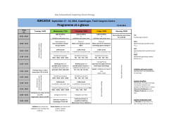 Programme at a glance Gas Innovations Inspiring Clean Energy