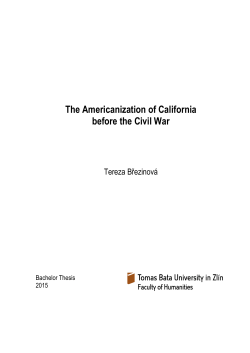 Šablona -- Diplomová práce (uni)