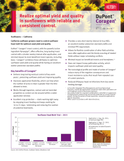Realize optimal yield and quality in sunflowers with