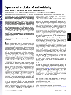 Experimental evolution of multicellularity