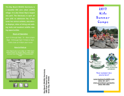 2017 Kids Summer Camps
