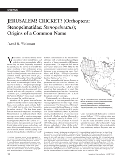 JERUSALEM! CRICKET? - Oxford Academic