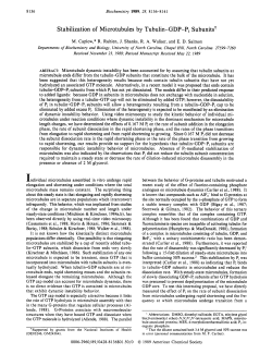 Stabilization of Microtubules by Tubulin-GDP