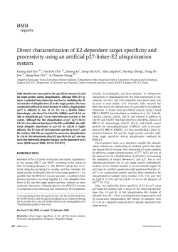 Direct characterization of E2-dependent target