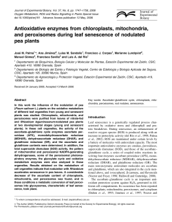 Antioxidative enzymes from chloroplasts