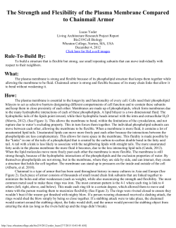 Research Project Report - Digital Repository Home