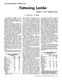 Low-concentrate rations for Fattening Lambs