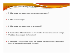 1. What is the source of energy for all organisms on