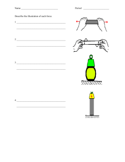 A set of student worksheets including review sheets, crossword and