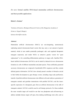 Document