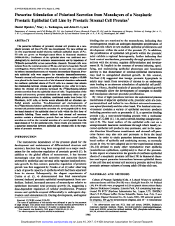 Paracrine Stimulation of Polarized Secretion