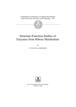Structure-Function Studies of Enzymes from Ribose Metabolism