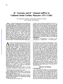 AT-1 Cells - Circulation Research