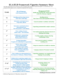 Framework Vignettes Summary Sheet