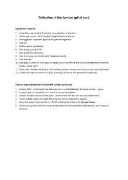 Collection of the lumbar spinal cord