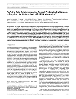 RAP, the Sole Octotricopeptide Repeat Protein in