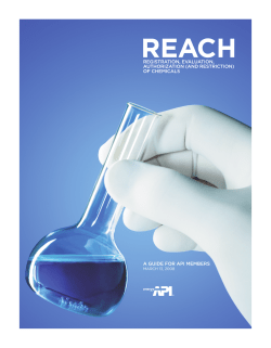 REACH - A Guide for API Members