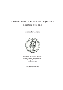 Metabolic influence on chromatin organization in adipose stem cells