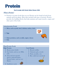 Protein - Renal Services of Toledo
