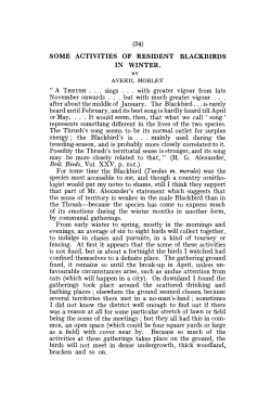 SOME ACTIVITIES OF RESIDENT BLACKBIRDS IN