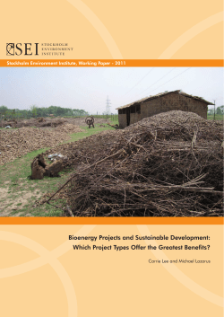 Bioenergy Projects and Sustainable Development: Which Project