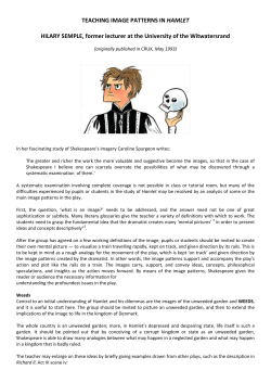 Teaching image patterns in Hamlet