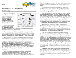 Food Chains and Food Webs