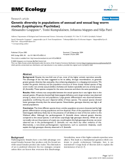 Genetic diversity in populations of asexual and sexual bag worm