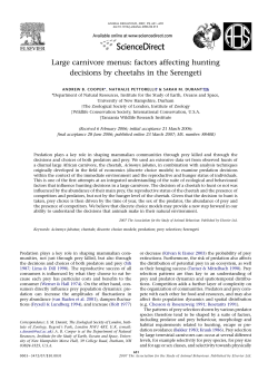 factors affecting hunting decisions by cheetahs in the Serengeti