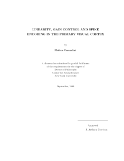LINEARITY, GAIN CONTROL AND SPIKE ENCODING IN THE