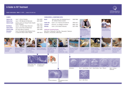 A Guide to IVF Treatment