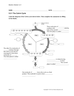 5.2-1 The Calvin Cycle