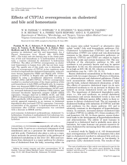 Effects of CYP7A1 overexpression on cholesterol and bile acid
