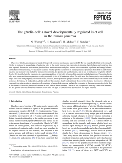 cells in fetal and neonatal pancreas were stained by Phoenix Ghrelin