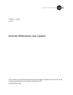 Internet Defamation Law: Update