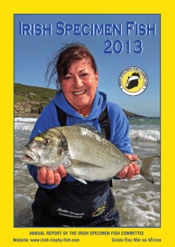 Irish Specimen Fish 2013 Irish Specimen Fish 2013