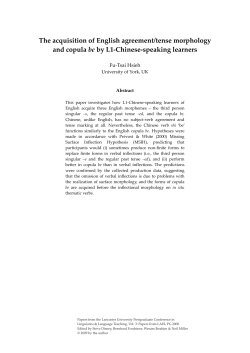 The acquisition of English agreement/tense morphology and copula